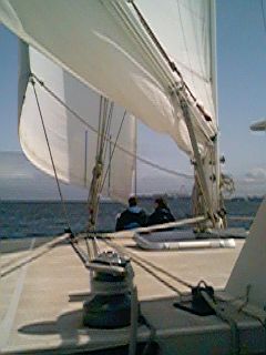 sail06.jpg (15705 bytes)